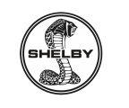 shelby